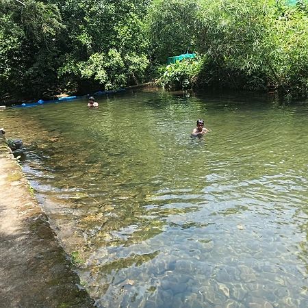 Tharayil Farm Stay Vagamon Zewnętrze zdjęcie