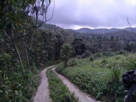 Tharayil Farm Stay Vagamon Zewnętrze zdjęcie