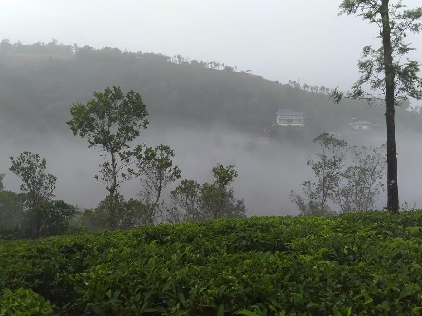 Tharayil Farm Stay Vagamon Zewnętrze zdjęcie