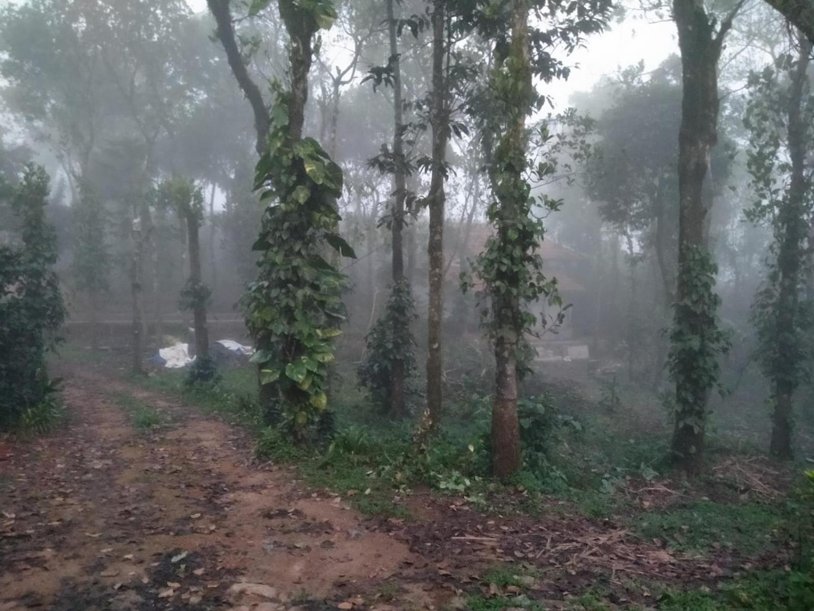 Tharayil Farm Stay Vagamon Zewnętrze zdjęcie