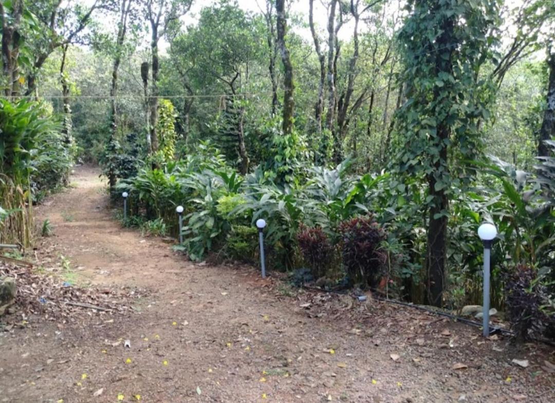 Tharayil Farm Stay Vagamon Zewnętrze zdjęcie